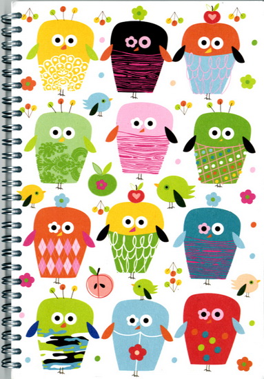 Cahier dessin hiboux 100% recyclé 6x9" - VI
