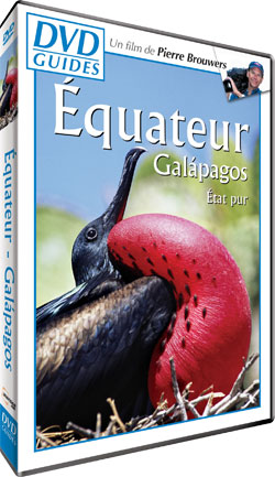 Guide Equateur, Galapagos - GUIDE VOYAGE