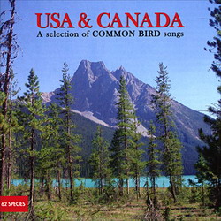 USA & Canada: Selection common bird song - COMPILATION