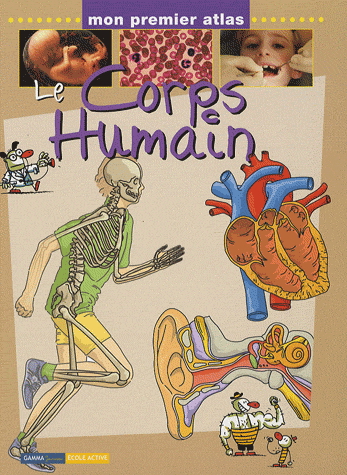 Le Corps humain - COLLECTIF
