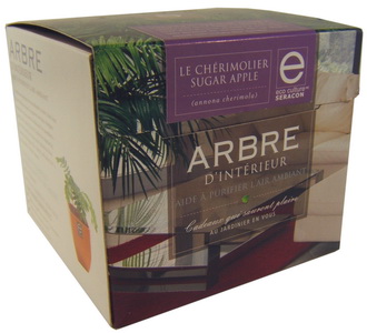 Arbre intérieur: Cherimoya - 