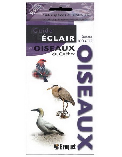 Oiseaux du Québec - SUZANNE BRULOTTE
