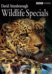 David Attenborough: wildlife specials - ATTENBOROUGH DAVID