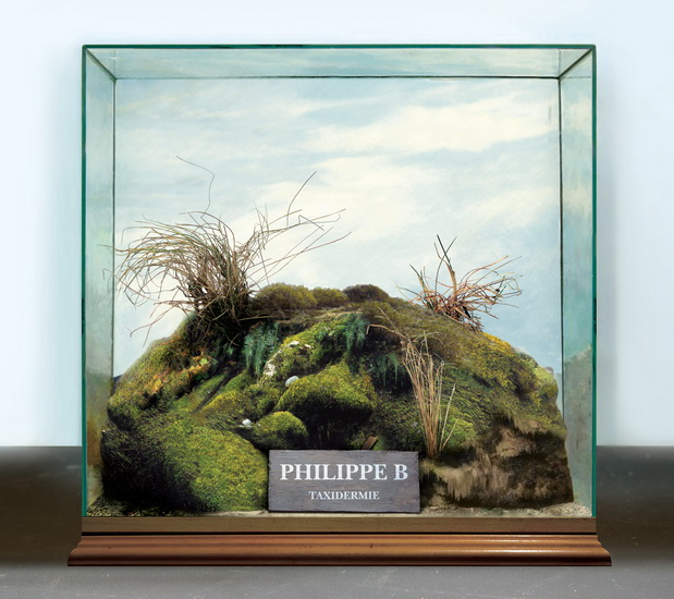 Taxidermie - PHILIPPE B