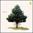 Dehli 9 (2 CD) - TOSCA