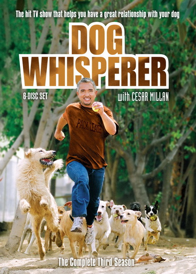 Dog whisperer (Season 3) - DOG WHISPERER