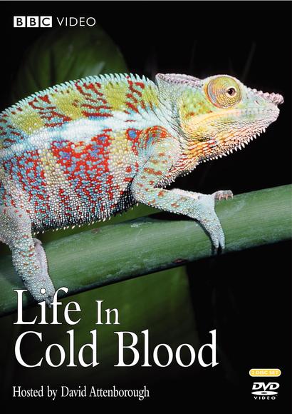 Life in cold blood - 