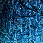 Nah Und Fern (4CD) - GAS