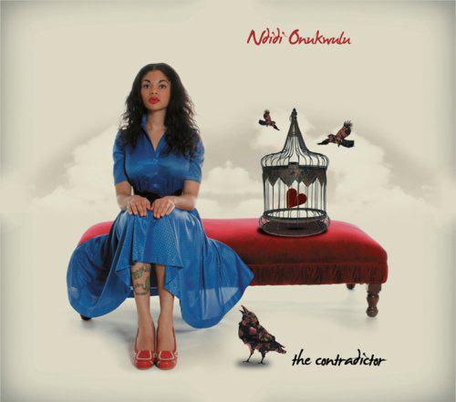 The Contradictor - ONUKWULU NDIDI
