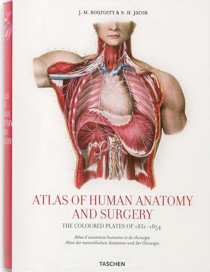Atlas of human anatomy and surgery - COLLECTIF