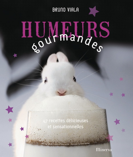 Humeurs gourmandes - BRUNO VIALA