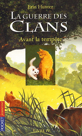 Avant la tempête #04 - HUNTER ERIN