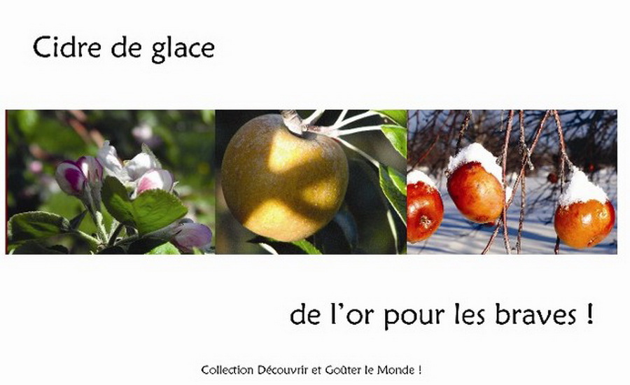 Cidre de glace, de l&#39;or pour les braves! - STEPHANE THERIZOL - NATHALIE METZGER