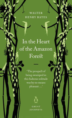 In the heart of the Amazon forest - WALKER BATES