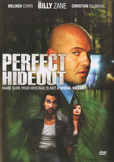 Perfect hideout - MANUEL STEPHEN