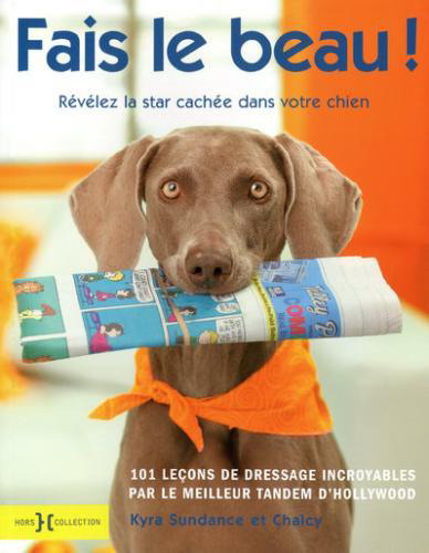 Fais le beau! - KYRA SUNDANCE