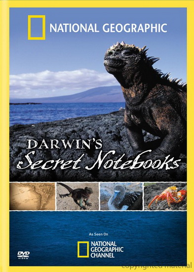 Darwin's secret notebooks - NATIONAL GEOGRAPHIC