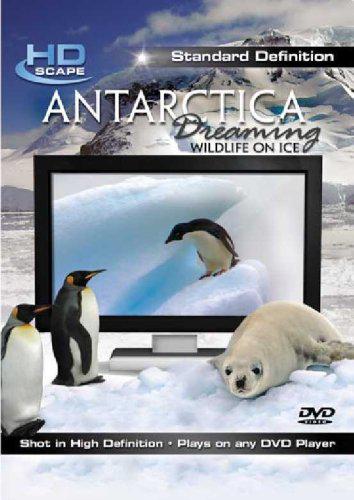 Antartica dreaming: Wildlife on ice - 