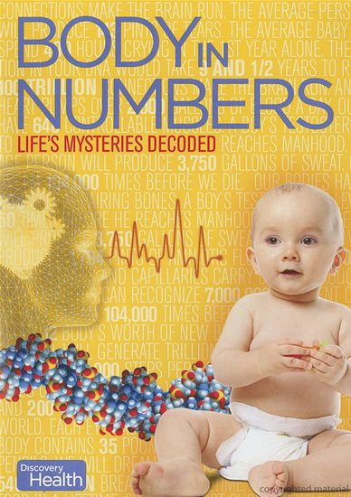 Body in numbers - DISCOVERY CHANNEL