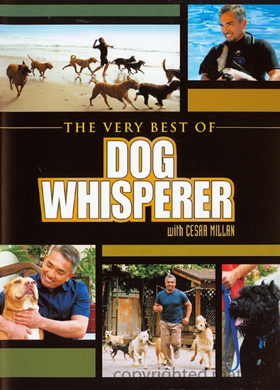 Dog Whisperer of Dog Whisperer With Cesar Millan - 