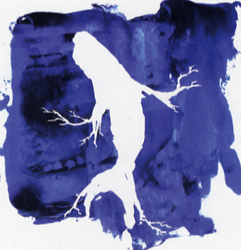 Hubert Cotton - COTTON HUBERT