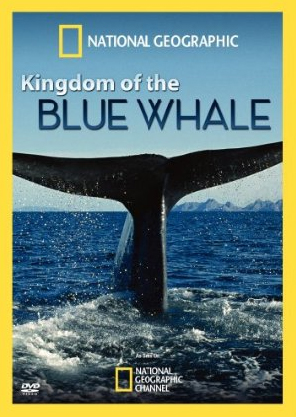 Kingdom of the blue whale - NATIONAL GEOGRAPHIC