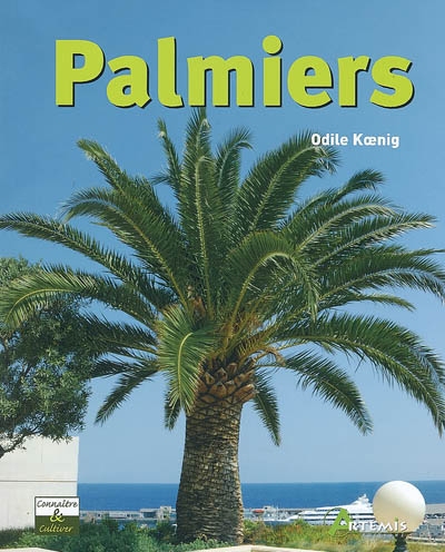 Palmiers - ODILE KOENIG
