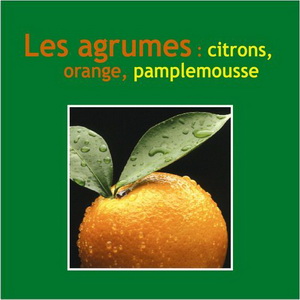 Agrumes: citrons/orange/pamplemousse - CATHERINE CHEGRANI-CONAN