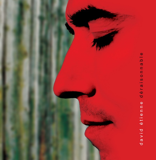 Déraisonnable - ETIENNE DAVID